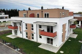 Wohnung mieten in Ertler Straße 5/3/9, 3352 Sankt Peter in der Au-Markt, Geförderte 3-Zimmer Dachgeschosswohnung mit Kaufoption | ca. 75 m² | Terrasse