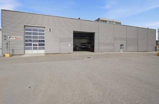 Lager mieten in Mauthausen, 4310 Mauthausen, Lagerhalle * 473 m2 + Büro + 109 m2 Kranhalle *2 Monate Kostenfrei Mieten