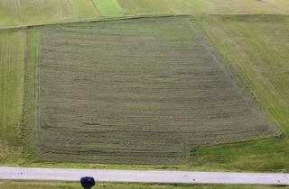 Grundstück zu kaufen in Rohrbach, 4150 Rohrbach, Ihr Platz Fürs Eigenheim - Vier Attraktive Baugrundstücke in Rohrbach
