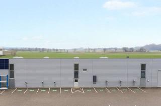 Lager mieten in Pem-Straße 2, 4310 Mauthausen, 885 m2 Kalthalle mit Hochregalen und Büroeinheit * Miete Netto 4,50/m2