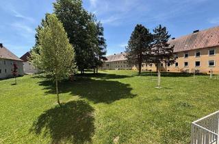 Wohnung mieten in Hans-Buchholzer-Straße, 4400 Steyr, Helle Erdgeschosswohnung mit großzügiger Wohnküche und Grünblick in beliebter Lage in Steyr-Münichholz – ruhiges Wohnambiente, flexible Raumaufteilung und beste Infrastruktur inklusive!