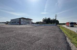 Büro zu mieten in 4775 Taufkirchen an der Pram, Moderne und voll ausgestattete Kfz-Werkstatt mit Verkaufsfläche in Toplage an der B137 zu mieten