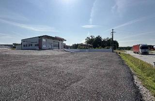 Büro zu mieten in 4775 Taufkirchen an der Pram, Moderne und voll ausgestattete Kfz-Werkstatt mit Verkaufsfläche in Toplage an der B137 zu mieten
