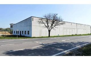 Gewerbeimmobilie mieten in 2474 Gattendorf, Attraktiver Standort: 1,516 m2 Halle/Lager zu mieten