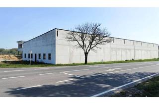 Gewerbeimmobilie mieten in 2474 Gattendorf, Attraktiver Standort: 1,516 m2 Halle/Lager zu mieten