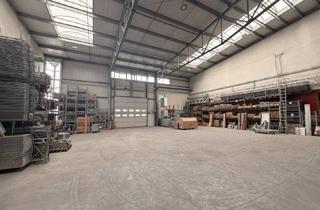 Büro zu mieten in 3052 Innermanzing, Halle & Büro direkt neben A1 zu mieten I 558m² Halle I 65m² Büro I vielseitig nutzbar