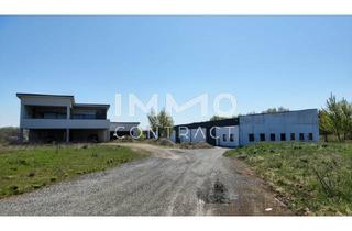 Immobilie mieten in 2474 Gattendorf, Attraktiver Firmenstandort: Büro/Haus und 1,516 m2 Halle/Lager zu mieten
