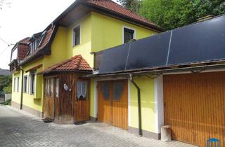 Haus kaufen in 2732 Unterhöflein, Wohnhaus mit Nebengebäuden in Höflein an der Hohen Wand