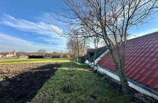 Gewerbeimmobilie kaufen in 2193 Bullendorf, Weinkeller in ruhiger Lage in Bullendorf!
