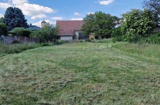 Grundstück zu kaufen in 2272 Ringelsdorf, Ideales Baugrundstück mit Stadel