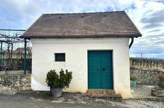 Immobilie kaufen in 2170 Kleinhadersdorf, Ruhig gelegener, renovierter Weinkeller mit besonderem Flair!