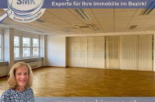 Büro zu mieten in Breitenfurter Straße, 1230 Wien, PRAXIS - GESUNDHEITSPROGRAMME - ANGENEHMES ARBEITEN!