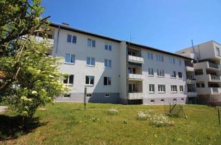 Wohnung kaufen in Reifentalgasse, 8043 Graz, Saniertes Eigenheim in Mariatroster Bestlage!