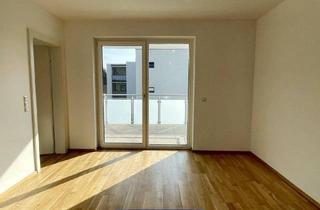 Wohnung mieten in Hofweg, 4070 Hinzenbach, Gemütliche Single Wohnung mit Einbauküche im Herzen von Hinzenbach