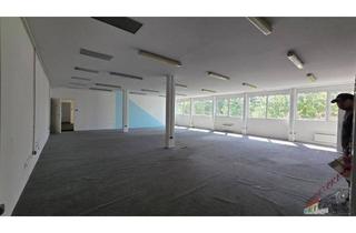 Büro zu mieten in 2514 Traiskirchen, Traiskirchen 210m² Büro mit 2 Parkplätze