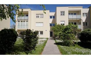 Wohnung kaufen in Spechtgasse, 2340 Mödling, EXKLUSIVE 3-ZIMMER-WOHNUNG IN RUHIGEM VILLENVIERTEL, MÖDLING - Spechtgasse