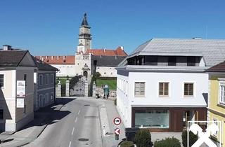 Anlageobjekt in 3313 Wallsee, Wohnhausanlage mit Sieben Wohn- und einer Arztpraxis Inmitten von Wallsee!