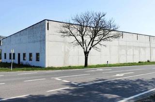 Lager mieten in 2474 Gattendorf, Attraktiver Standort: 1,516 m2 Halle/Lager zu Mieten