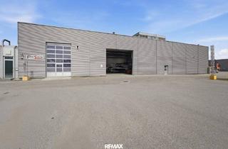 Büro zu mieten in 4310 Mauthausen, Lagerhalle * 473 m2 + Büro * Miete netto 5,42/m2 * 2 Monate kostenfrei mieten*