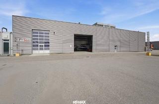 Büro zu mieten in 4310 Mauthausen, Kranhalle in TOP Lage * Miete netto 7,09/m2 *Die ersten 2 Monate kostenfrei mieten*