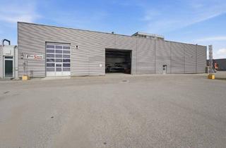 Büro zu mieten in 4310 Mauthausen, Lagerhalle * 473 m2 + Büro * Miete netto 5,42/m2 * 2 Monate kostenfrei mieten*