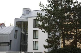 Wohnung mieten in Neuwaldeggerstrasse 13, 1170 Wien, Cooles single-Apartment, komplett eingerichtet, Hotelzimmerkomfort, Aircondition, Grünlage, neuwertig