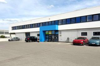 Büro zu mieten in 2120 Wolkersdorf im Weinviertel, Multifunktionale Gewerbehalle nahe Knoten Eibesbrunn