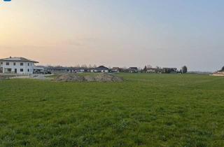 Grundstück zu kaufen in 4961 Mühlheim am Inn, Baugrundstück 1015m² in Mühlheim am Inn – Ihr Traumgrundstück für Eigenheim