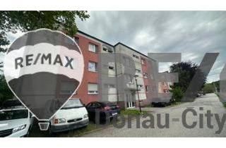 Wohnung kaufen in 2823 Pitten, "Wohnung - thermisch saniert!"