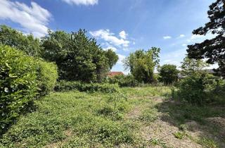 Grundstück zu kaufen in 2333 Leopoldsdorf, Zwei unbebaute Grundstücke | zusammen ca. 1.201 m² | Bauland Wohngebiet – maximal 2 Wohneinheiten pro GS | im Herzen von Leopoldsdorf - unweit der Hauptstraße