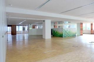 Büro zu mieten in Erdbergstraße, 1030 Wien, Großraumbüro - 498m² - Nähe Rochusmarkt