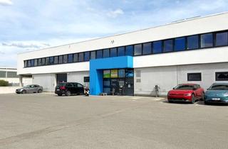 Lager mieten in 2120 Wolkersdorf im Weinviertel, Multifunktionale Gewerbehalle Nahe Knoten Eibesbrunn
