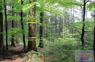 Grundstück zu kaufen in 5310 Mondsee, Starker Wald am Mondsee!