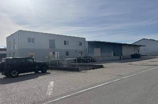 Gewerbeimmobilie kaufen in 4063 Hörsching, 1050 m² Halle, 200 m² Büro, 24 Stundenzufahrt eigene Tankstelle. Ideal für eine Spedition SOFORT VERFÜGBAR