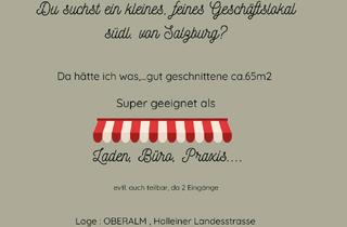 Lager mieten in Halleiner Landesstrasse 62, 5411 Oberalm, Eine Räumlichkeit für viele Nutzungsmöglichkeiten!