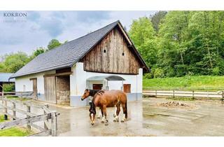 Haus kaufen in 9122 Seidendorf, Exklusives Reitanwesen mit 6 Wohneinheiten & Bauland in traumhafter Lage nahe dem Klopeiner See