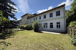 Maisonette mieten in 2500 Baden, 3 Zimmer Wohnung mit großzügigem(privaten) Garten