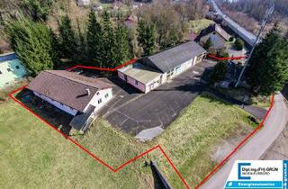 Gewerbeimmobilie kaufen in 4222 Langenstein, Vielseitige Gewerbeliegenschaft mit Büro & Hallenflächen auf 2.950 m²