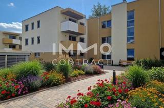 Wohnung mieten in 7000 Eisenstadt, Erstbezug – Moderne 3-Zimmer-Wohnung mit lichtdurchfluteten Räumen mit Balkon