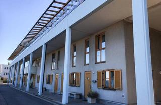 Wohnung mieten in Süßenbrunner Straße 66, 1220 Wien, Charmante 1-Zimmer-Wohnung
