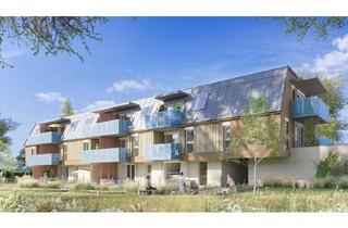 Wohnung mieten in Alois-Ginsthoferstraße, 3442 Langenrohr, LANGENROHR III/1, "Betreutes Wohnen (BV)" - geförderte Mietwohnung, 1. OG Top 1.06, 1000/00011991/00001106