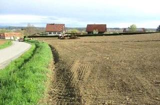 Grundstück zu kaufen in 8522 Groß Sankt Florian, Provisionsfreies, Sonniges Baugrundstück im Aufstrebenden Groß St. Florian