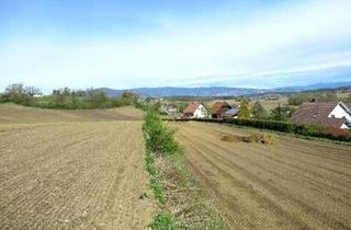 Grundstück zu kaufen in 8522 Groß Sankt Florian, Provisionsfreies, Sonniges Baugrundstück im Aufstrebenden Groß St. Florian