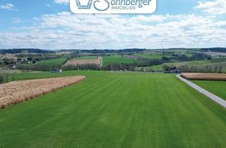  in 3314 Strengberg, Freizeit.Grund - 346 m² Grünfläche Statt Klassischem Schrebergarten