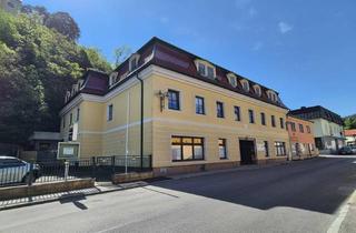 Wohnung mieten in 2823 Pitten, Renovierte 3 Zimmer Wohnung mit Balkon im Herzen von Pitten!