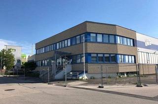Büro zu mieten in 4063 Hörsching, Gewerbeobjekt bestehend aus 2 Hallen verbunden und Büro und 460 m2 Büro. weitere 7000 m2 auf Anfrage verfügbar