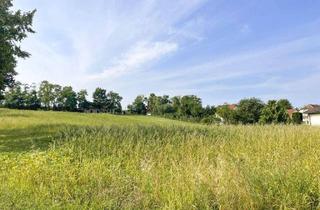 Grundstück zu kaufen in 3720 Ravelsbach, TOP-GELEGENHEIT: SEHR VIEL PLATZ UND NUR 35 MINUTEN ZUR WIENER NORDBRÜCKE - JETZT ANFRAGEN!!!