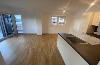 Wohnung mieten in 2102 Bisamberg, Neu errichtete helle 2 Zimmer Dachgeschoßwohnung mit Balkon und Garagenplatz - ERSTBEZUG