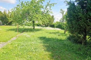 Reihenhaus kaufen in Schwaigaustraße, 4030 Linz, Top 2! Belagsfertiges Reihenhaus inkl. Carport und Parkplatz in Pichling: 5 Zimmer, Terrasse, Eigengarten.