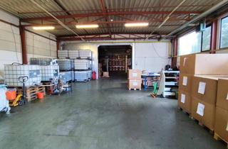 Büro zu mieten in 2102 Bisamberg, Lagerhalle bei Korneuburg - 271 m² - Provisionsfrei - Autobahnnähe